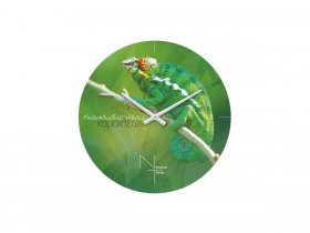 Часы настенные Nicole Time NT503 в Кочках - kochki.mebel-nsk.ru | фото
