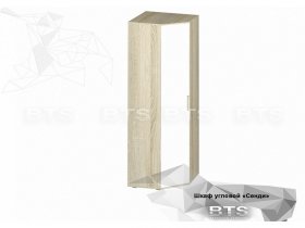 Шкаф угловой Сенди ШК-01 (BTS) в Кочках - kochki.mebel-nsk.ru | фото